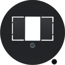 104001 Centrd. RJ-datacont.ds. 2-v,  berker 1930/Glas,  zwart